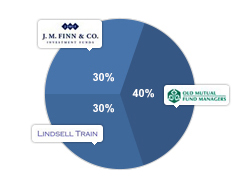 Long-term view pie chart