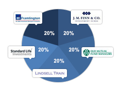 Long-term view pie chart
