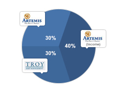 Medium risk/core view pie chart