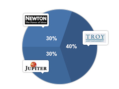 Steady/defensive view pie chart