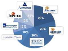 Medium risk/core view pie chart