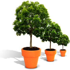 Tree stack
