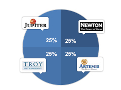 Steady/defensive view pie chart