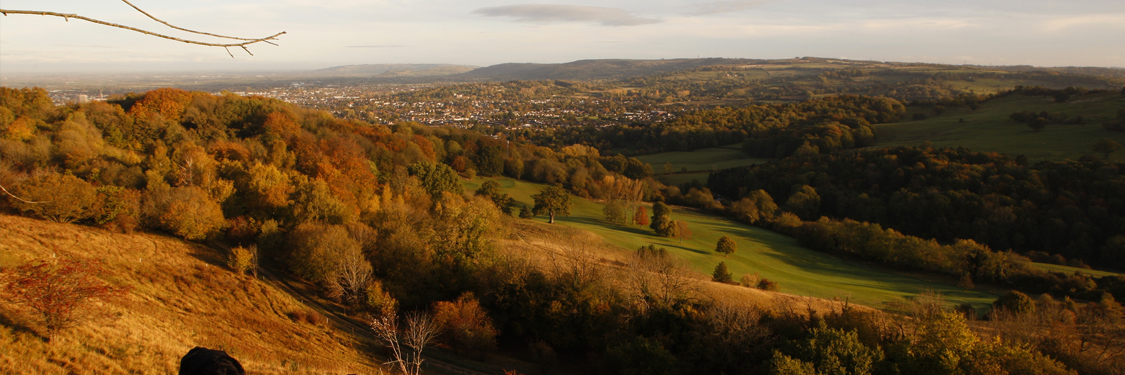 Financial Advisers in Cheltenham