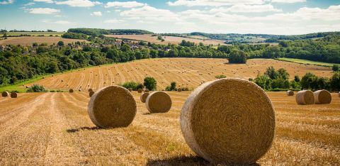 Where are the investment opportunities in farming? – 3 share ideas