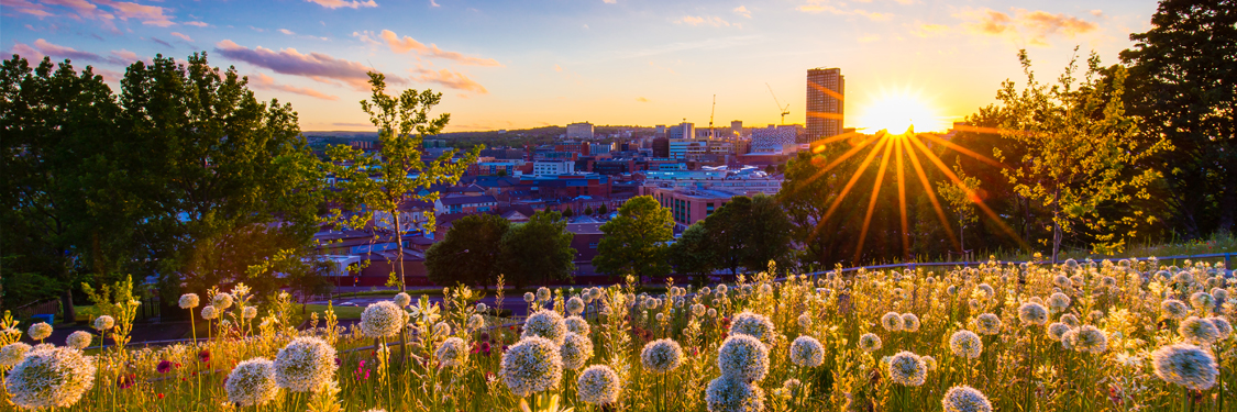 Sheffield-financial-advisers